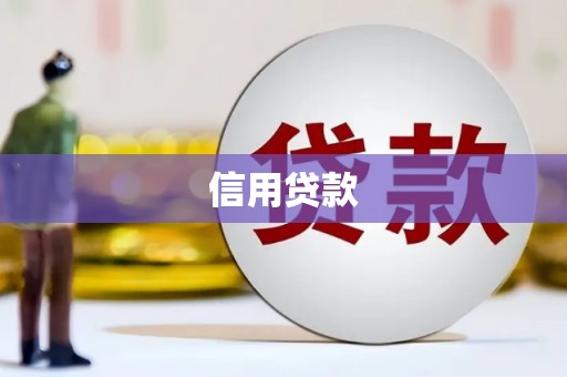 索县信用贷款