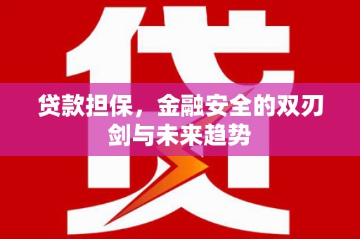 索县贷款担保，金融安全的双刃剑与未来趋势