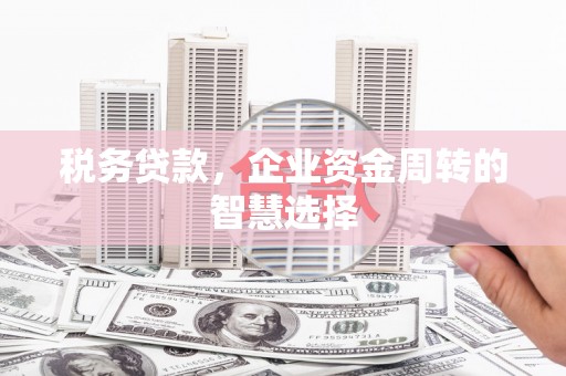 索县税务贷款，企业资金周转的智慧选择