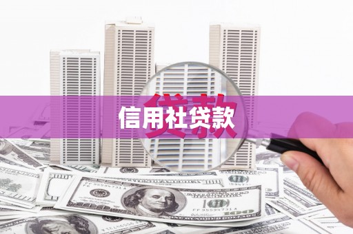 索县信用社贷款