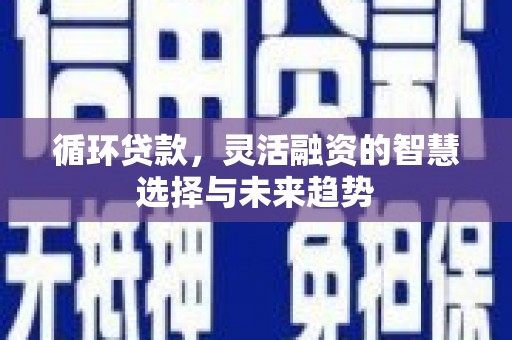 索县循环贷款，灵活融资的智慧选择与未来趋势