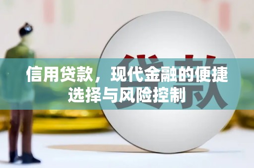 索县信用贷款，现代金融的便捷选择与风险控制