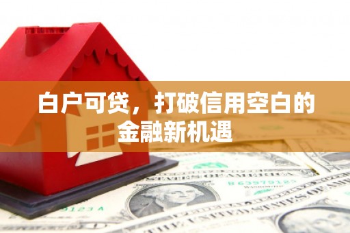 索县白户可贷，打破信用空白的金融新机遇