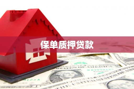 索县保单质押贷款