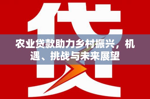 索县农业贷款助力乡村振兴，机遇、挑战与未来展望