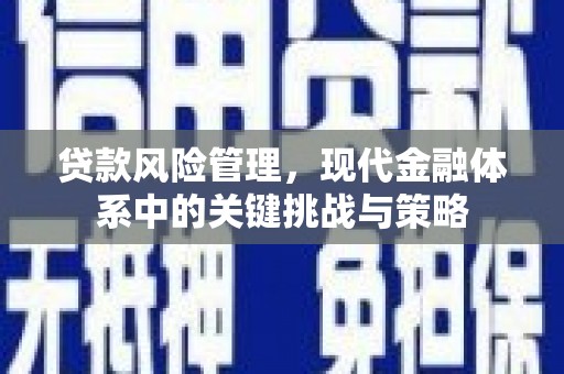 索县贷款风险管理，现代金融体系中的关键挑战与策略
