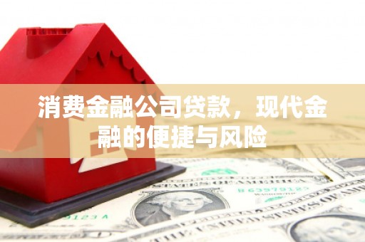 索县消费金融公司贷款，现代金融的便捷与风险