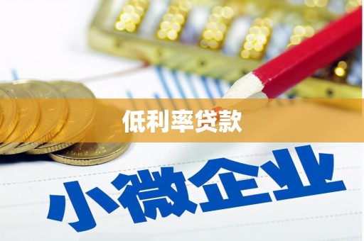 索县低利率贷款