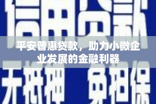 索县平安普惠贷款，助力小微企业发展的金融利器