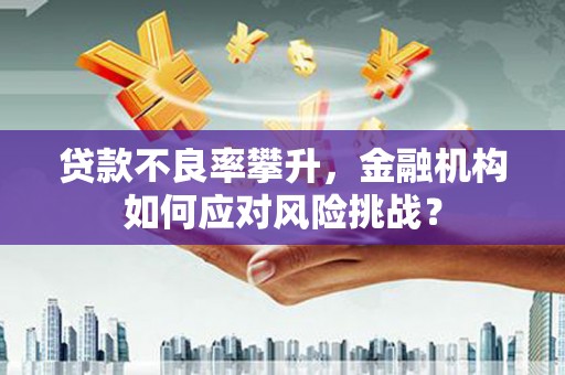 索县贷款不良率攀升，金融机构如何应对风险挑战？