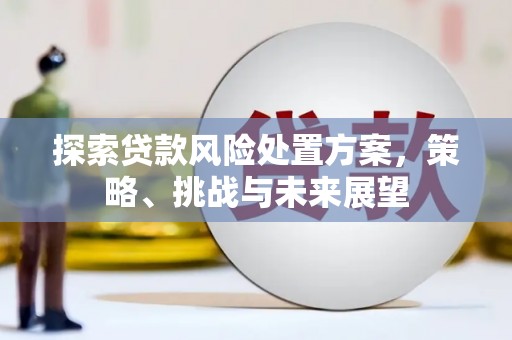 索县探索贷款风险处置方案，策略、挑战与未来展望