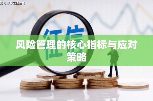 索县风险管理的核心指标与应对策略