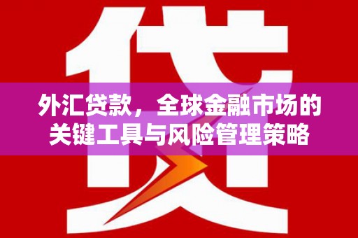 索县外汇贷款，全球金融市场的关键工具与风险管理策略