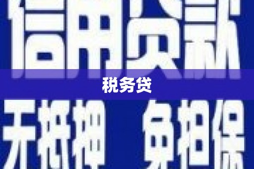 索县税务贷