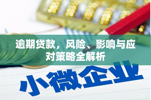 索县逾期贷款，风险、影响与应对策略全解析