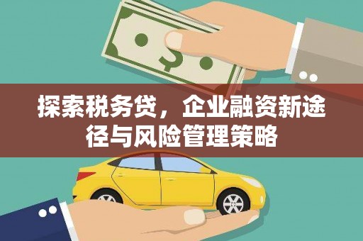 索县探索税务贷，企业融资新途径与风险管理策略