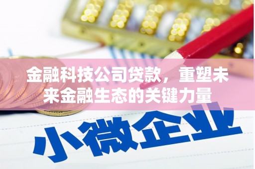 索县金融科技公司贷款，重塑未来金融生态的关键力量