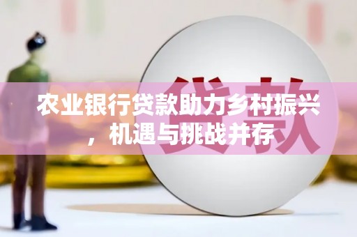 索县农业银行贷款助力乡村振兴，机遇与挑战并存