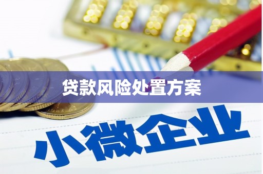 索县贷款风险处置方案
