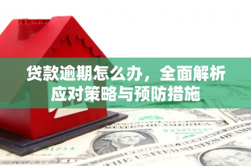 索县贷款逾期怎么办，全面解析应对策略与预防措施