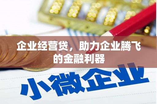 索县企业经营贷，助力企业腾飞的金融利器