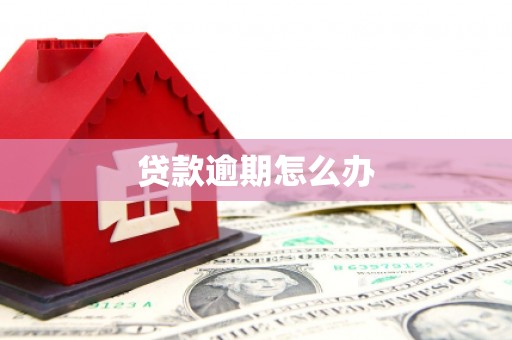 索县贷款逾期怎么办