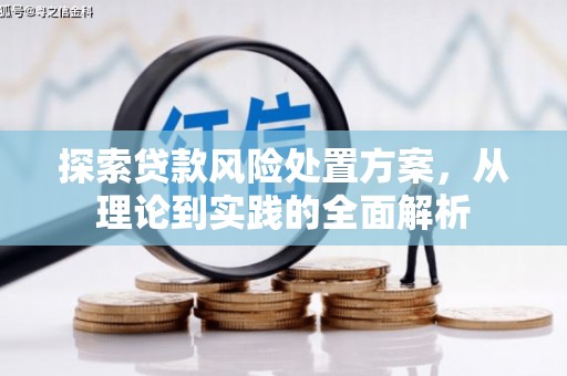 索县探索贷款风险处置方案，从理论到实践的全面解析