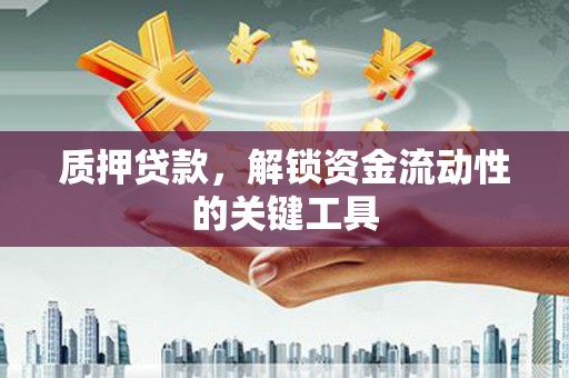 索县质押贷款，解锁资金流动性的关键工具