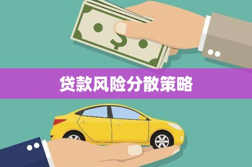 索县贷款风险分散策略