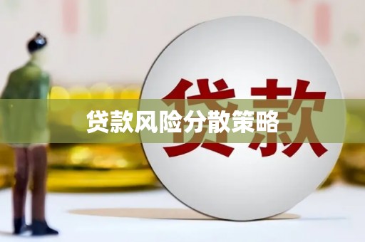 索县贷款风险分散策略