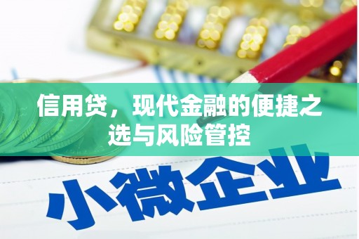 索县信用贷，现代金融的便捷之选与风险管控
