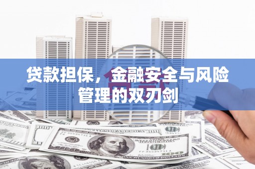索县贷款担保，金融安全与风险管理的双刃剑