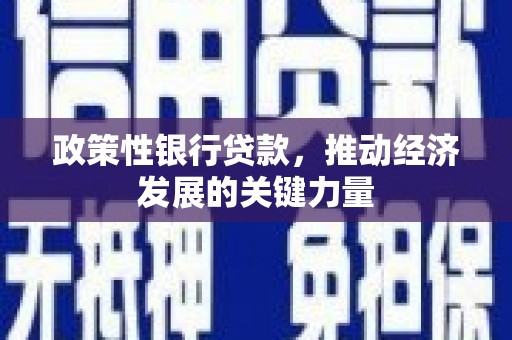 索县政策性银行贷款，推动经济发展的关键力量