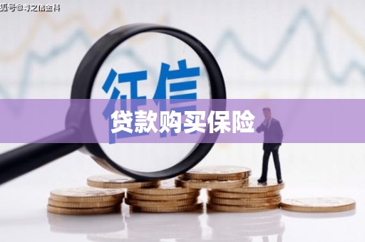 索县贷款购买保险