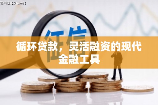 索县循环贷款，灵活融资的现代金融工具