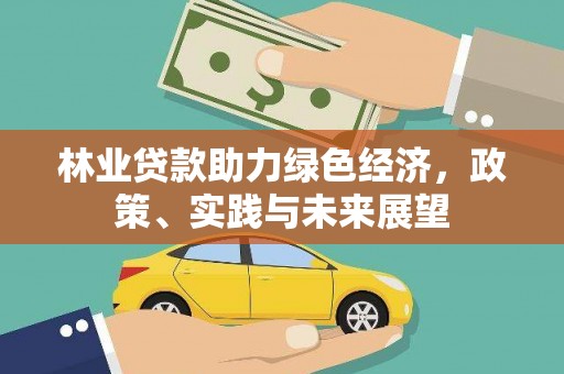 索县林业贷款助力绿色经济，政策、实践与未来展望