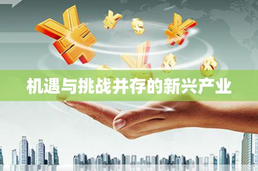 索县机遇与挑战并存的新兴产业
