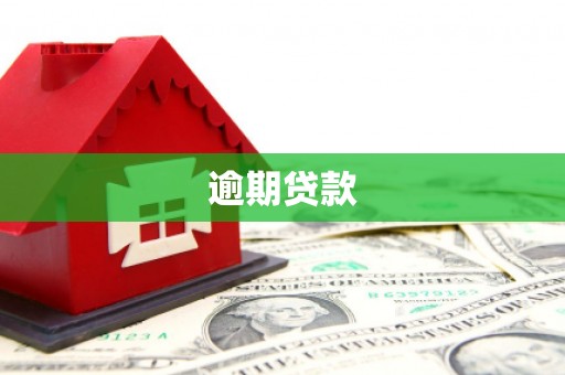 索县逾期贷款