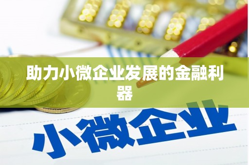 索县助力小微企业发展的金融利器
