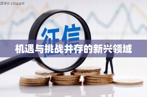 索县机遇与挑战并存的新兴领域