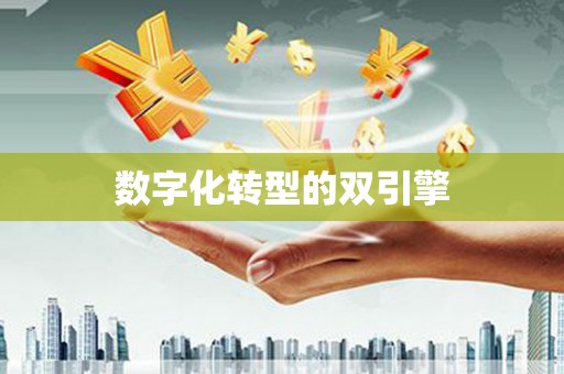 索县数字化转型的双引擎