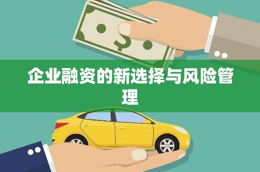 索县企业融资的新选择与风险管理