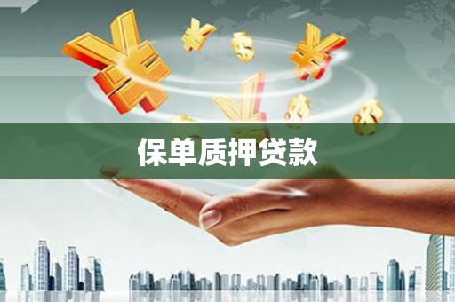 索县保单质押贷款