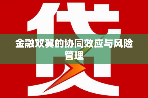 索县金融双翼的协同效应与风险管理