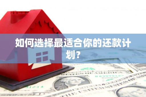 索县如何选择最适合你的还款计划？