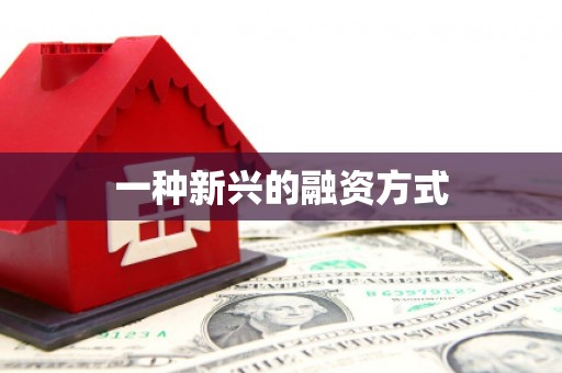 索县一种新兴的融资方式