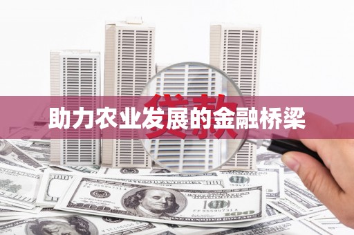 索县助力农业发展的金融桥梁