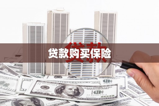 索县贷款购买保险