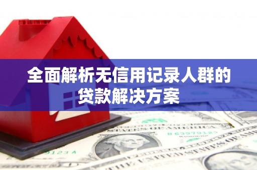 索县全面解析无信用记录人群的贷款解决方案