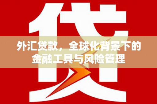 索县外汇贷款，全球化背景下的金融工具与风险管理